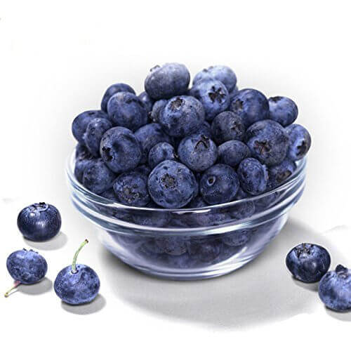 Blueberry Drying Process